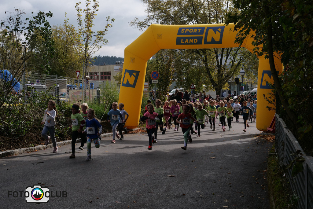 P1017412 | Foto Buchgraber