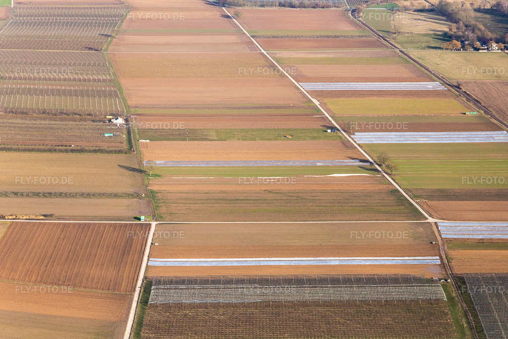 Luftbild: Ortsansicht im Ortsteil Mühlhofen in Billigheim-Ingenheim im Bundesland Rheinland-Pfalz in Deutschland. Foto: IMG_112652.jpg vom 13.02.2019 durch Werner Riehm/FLY-FOTO.de
