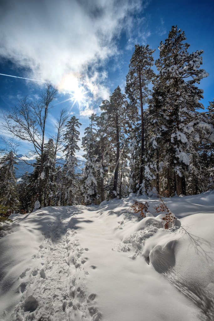 Wintertraum | Wintertraum in Mösern am Weg zum Brunschkopf