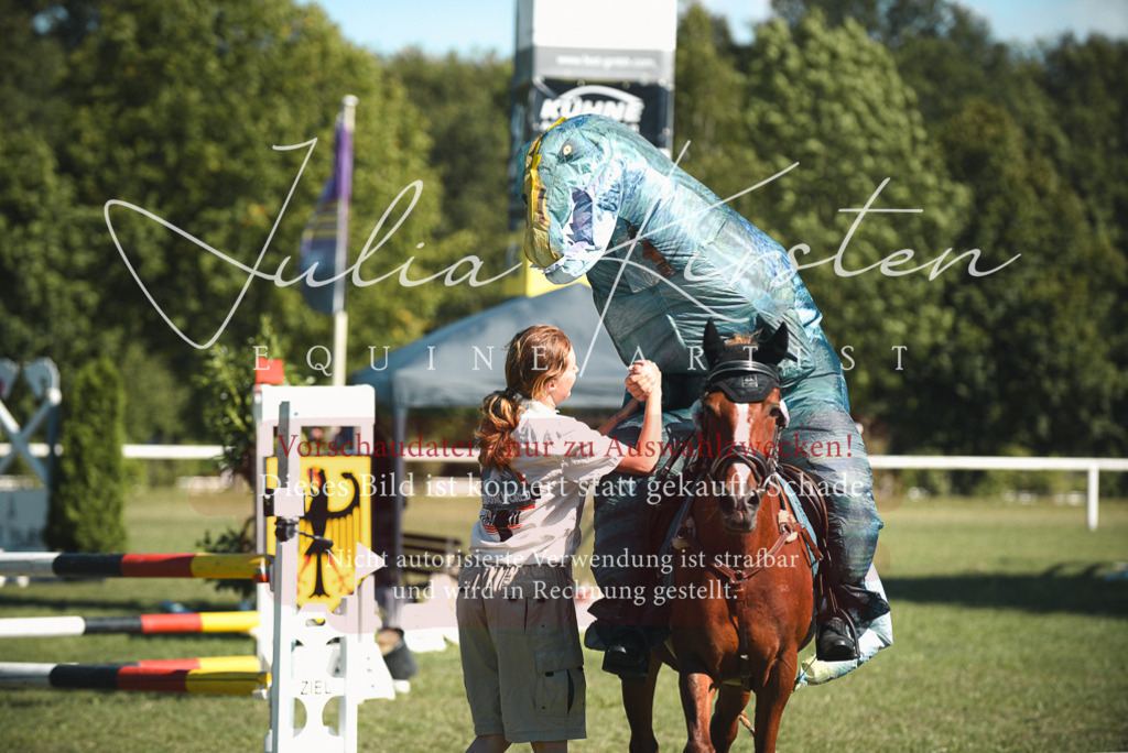 DSC_7666 | Pferde- und Turnierfotografie in Westsachsen. Pferdeportraits, Auftragszeichnungen und intuitive Kunst.