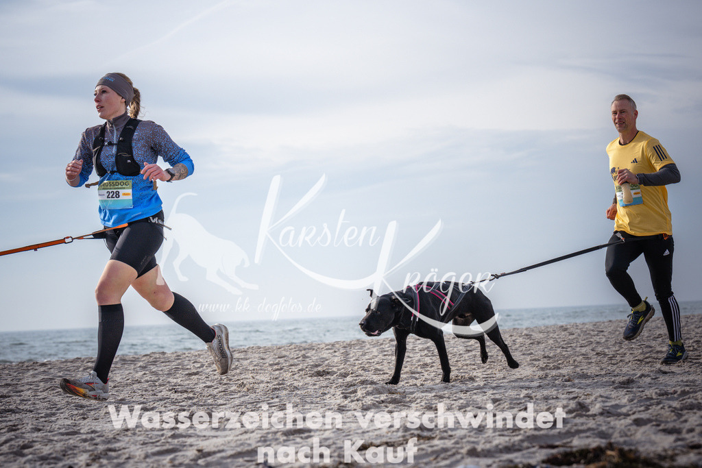 1016_ZZ94538 | kk-dogfotos