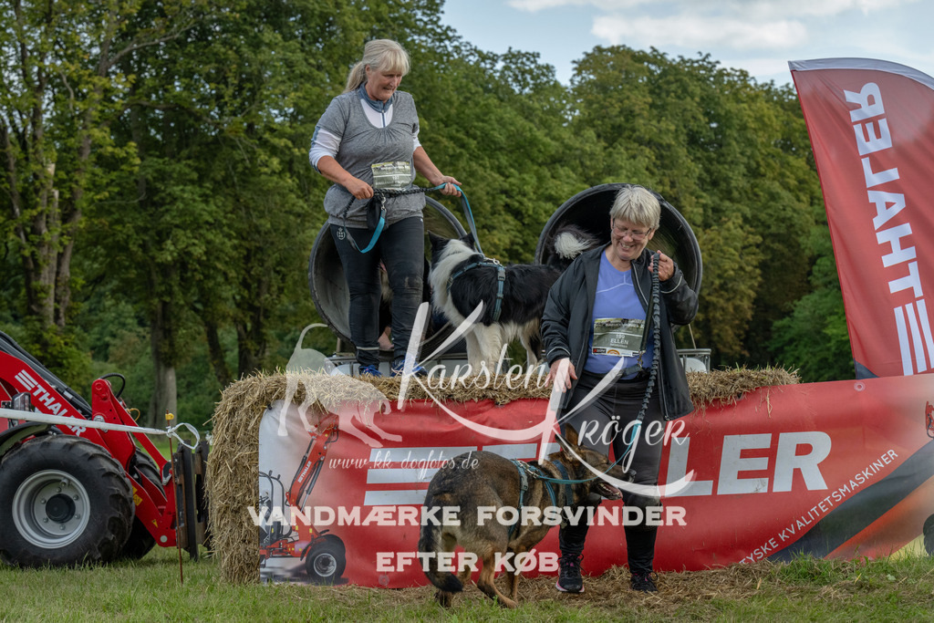 1100_ZZ93569 | kk-dogfotos