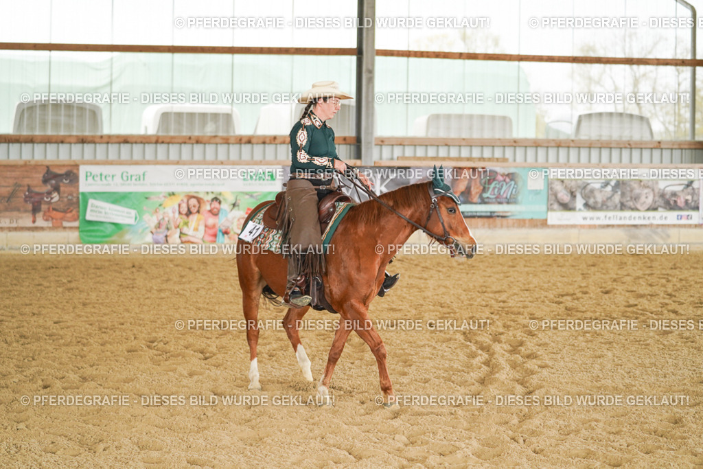 DSC03802 | Pferdegrafie