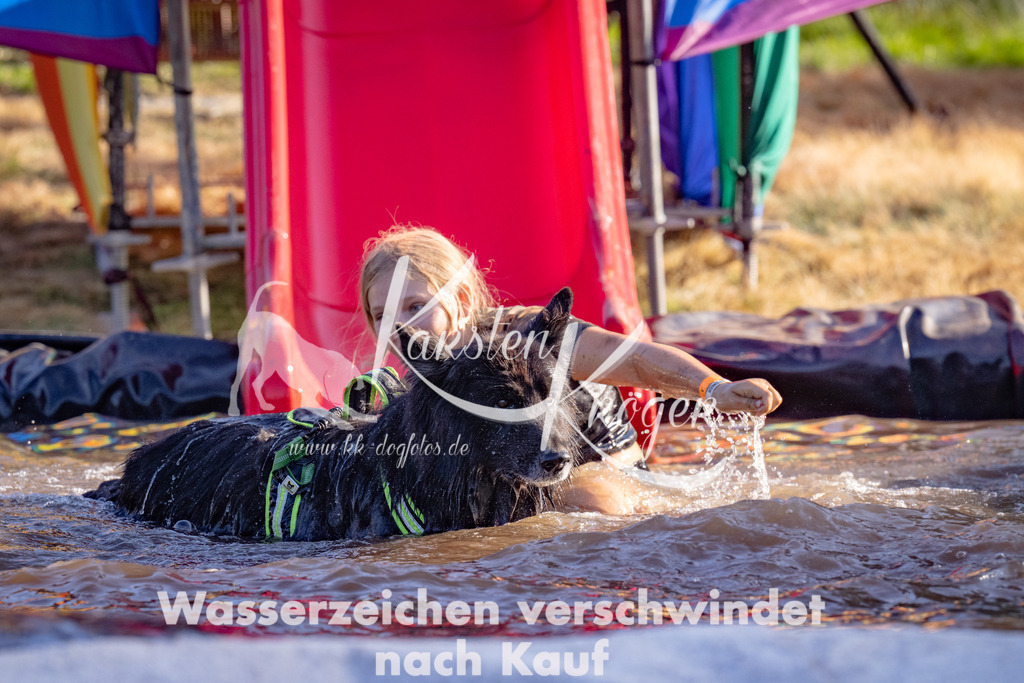 1741_ZZ91735 | kk-dogfotos