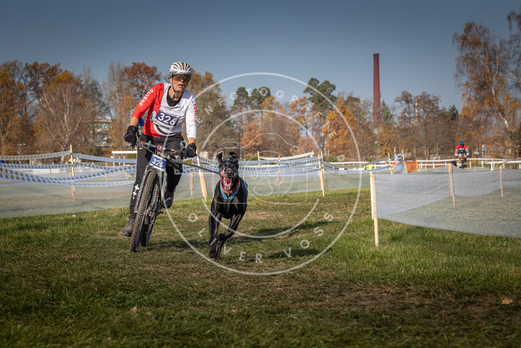 CaniXpix_0L8A7262 | Hundefotografie, Tierfotograf, Pfotenfotografie, Fotoshooting Hund, Hunde Portrait, Hundesport, Hundeportraits, Heideshooting, Hunde, Sportfotograf, Hundefotograf, Turnierhundsport, THS,  - Realisiert mit Pictrs.com