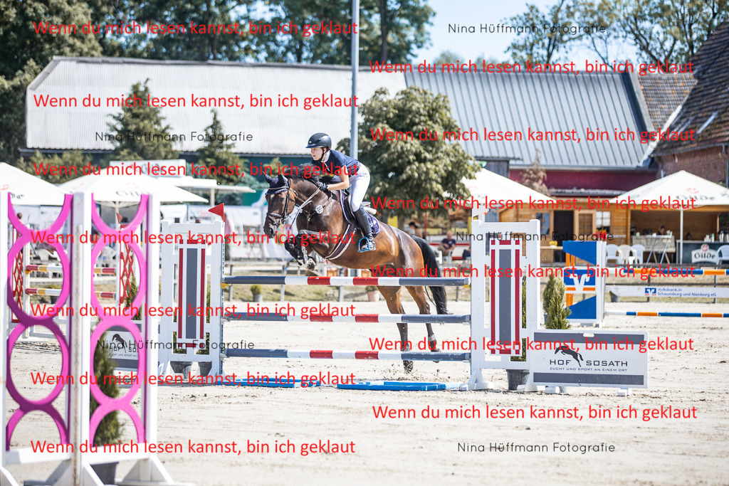 BK1A6568 | Turnierbilder Turnierfotos Nina Hüffmann Turnierfotografie Pferdefotografie Tierzeichnung Haustierzeichnung Pferdezeichnung Hundezeichnung Videograf  - Realisiert mit Pictrs.com
