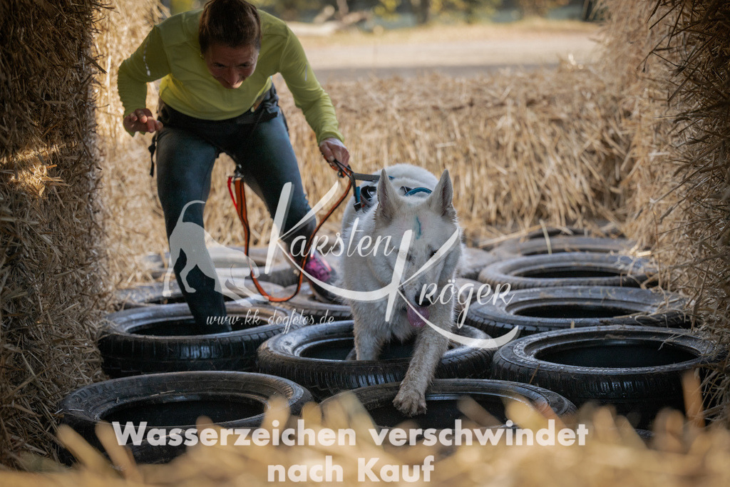 1032_ZZ98698 | kk-dogfotos