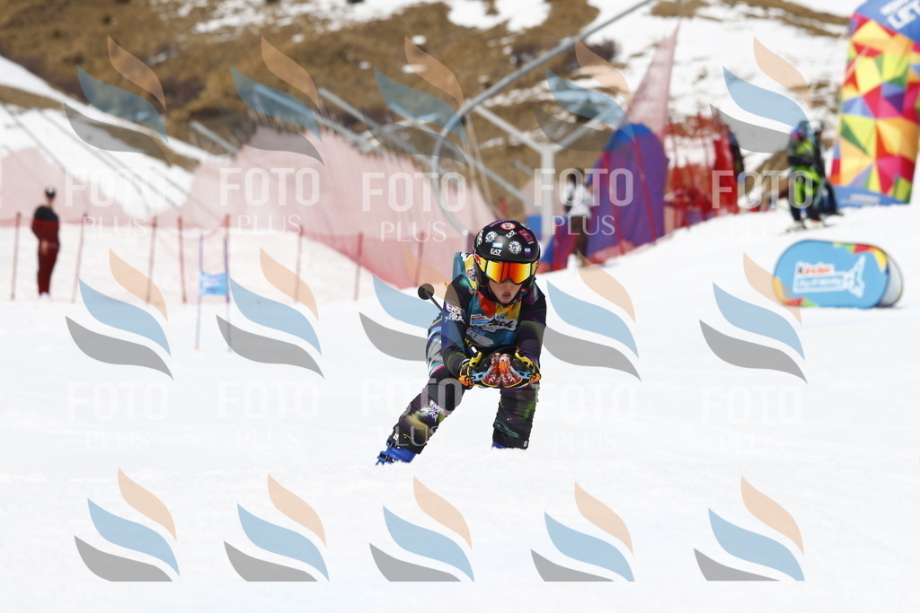 _U3G8261 | holidayphoto