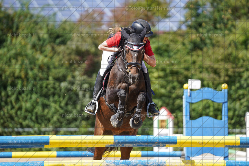 20240824-FAH08198 | Thierhaupten 2024, Bayerisches Landesponyturnier, Turnierbilder, Ponybilder, Turnierfotografen Bayern, Fotoagentur Herrmann