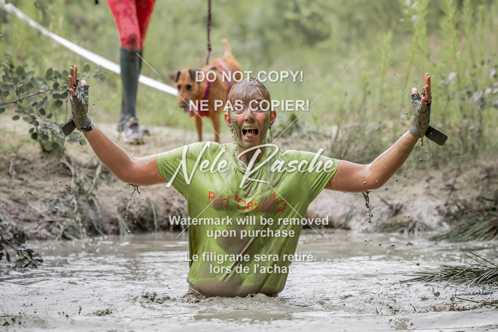 nelerasche_so1000-1030_131 | nelerasche