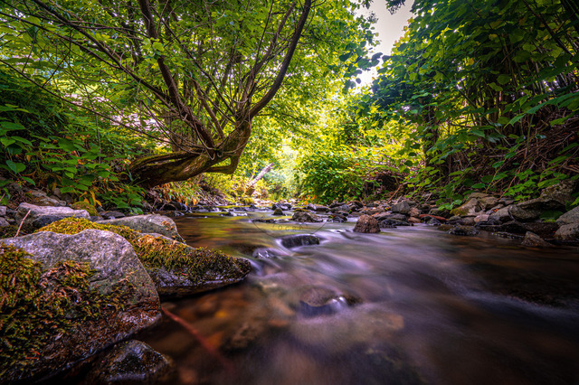 Der Wolfsbach | Professionelle Natur- & Landschaftsfotos als Poster, auf Leinwand & viele mehr. Wähle aus einer Vielzahl an Formaten & Materialien Dein perfektes Bild. - Realisiert mit Pictrs.com