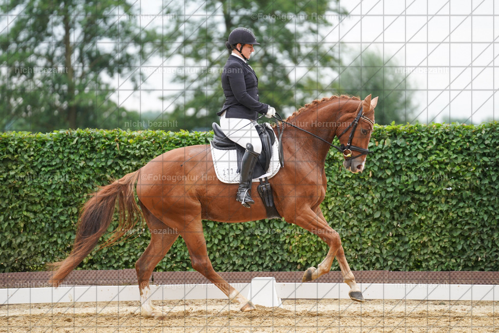 20240630-FAH00817 | Turnierbilder Schwabmünchen, Dressurbilder, Springreitturnier, Reitsportbilder, Turnierfotografen Bayern, Turnierfotograf