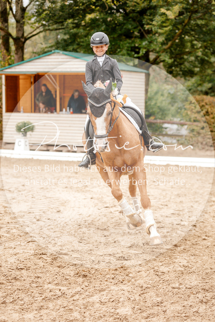 3I6A6050 | Stimmungsvolle Portraits und Reitsportfotografie im Ruhrgebiet und im Münsterland.

Pferdefotografie, Hundefotografie, Tierfotografie, Reportagen, Portraits von Tier und Mensch, Turnierfotografie in Bochum, Recklinghausen, Marl, Haltern am See, Dülmen.. - Realisiert mit Pictrs.com
