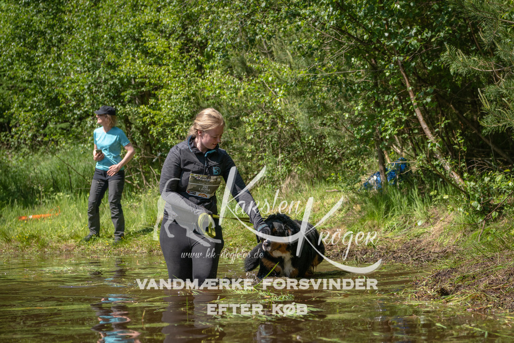 1526DKK993275 | kk-dogfotos