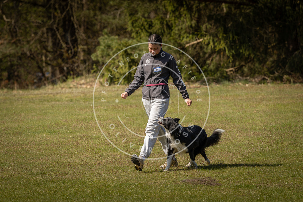 Pfotenfotografie_DV3A1038 | Hundefotografie, Tierfotograf, Pfotenfotografie, Fotoshooting Hund, Hunde Portrait, Hundesport, Hundeportraits, Heideshooting, Hunde, Sportfotograf, Hundefotograf, Turnierhundsport, THS,  - Realisiert mit Pictrs.com