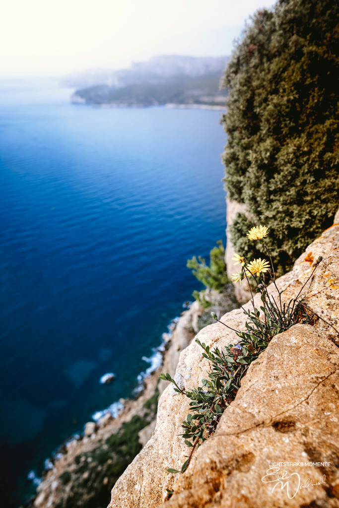 D141 Corniche ou Route des Crêtes, les calanques | Herzlich willkommen auf meiner Seite! Ich bin Elke Wallnisch, Deine Fotografin für lichtstarke Momente. Der Name steht für alles, was mich mit der Fotografie verbindet: Das Licht und seine machtvolle Wirkung auf eine Situation oder unsere Stimmung - Realisiert mit Pictrs.com