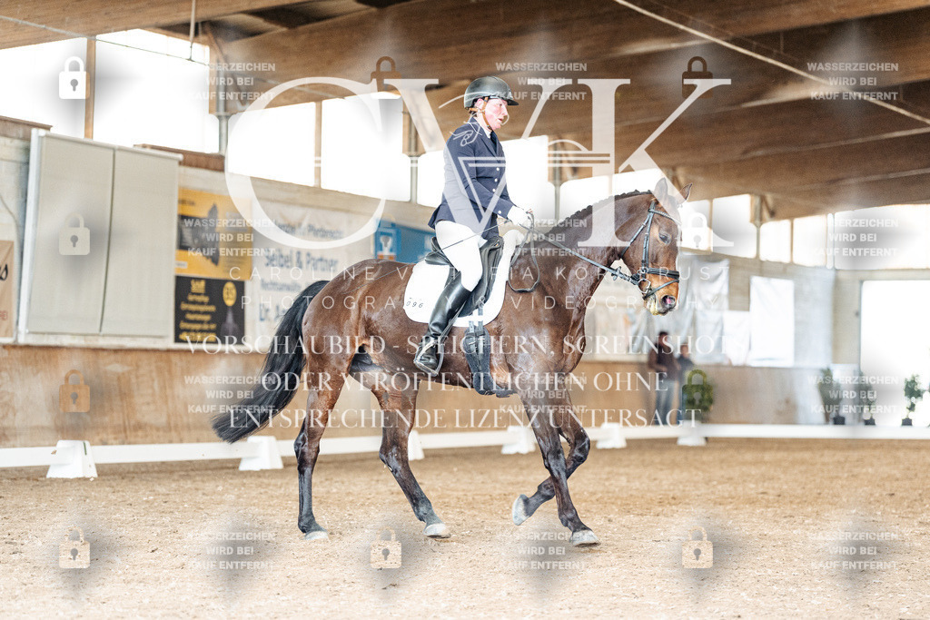 CK901384 | Turnierfotografie Pferdefotografie Trier Rheinland-Pfalz Pferdesport Reitsport Tierfotografie Sportfotografie Pferdevideo Pferdevideografie Equestrianvideography equestrianphotography  - Realisiert mit Pictrs.com