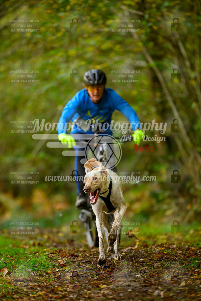MompixPhotography_20TSB_E1_Bike-13 | PayLife
