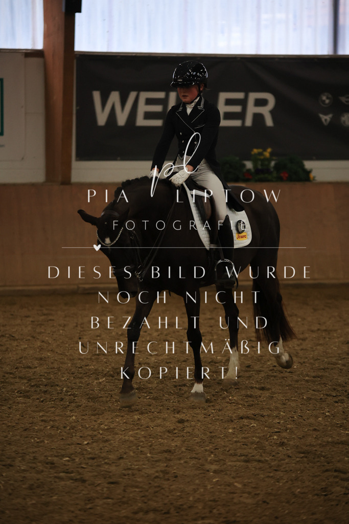 IMGT6257 | pl-fotografie