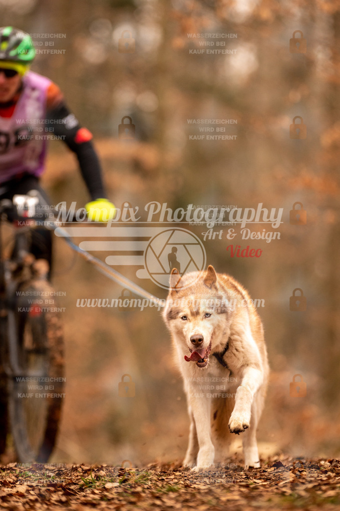 AKM_ST_2023_SAM_Bike-101 | PayLife