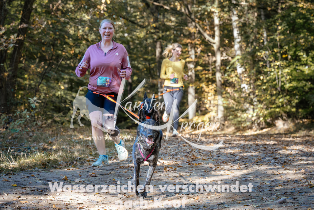 1200_ZZ93960 | kk-dogfotos