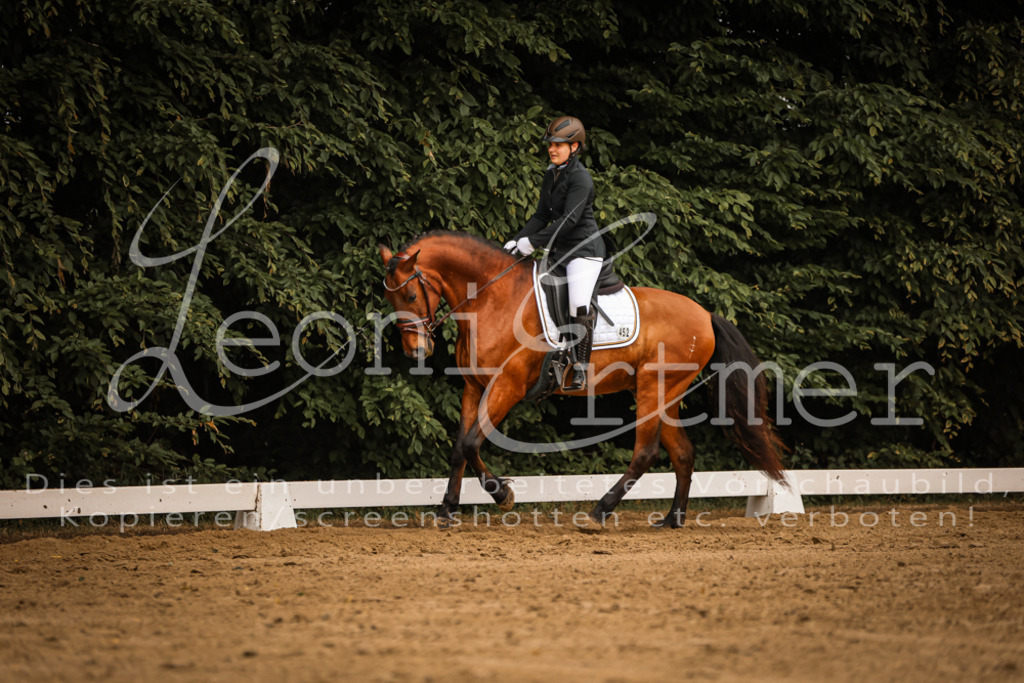 DoDrA00208 | Leoni Ertmer Photography - Realisiert mit Pictrs.com