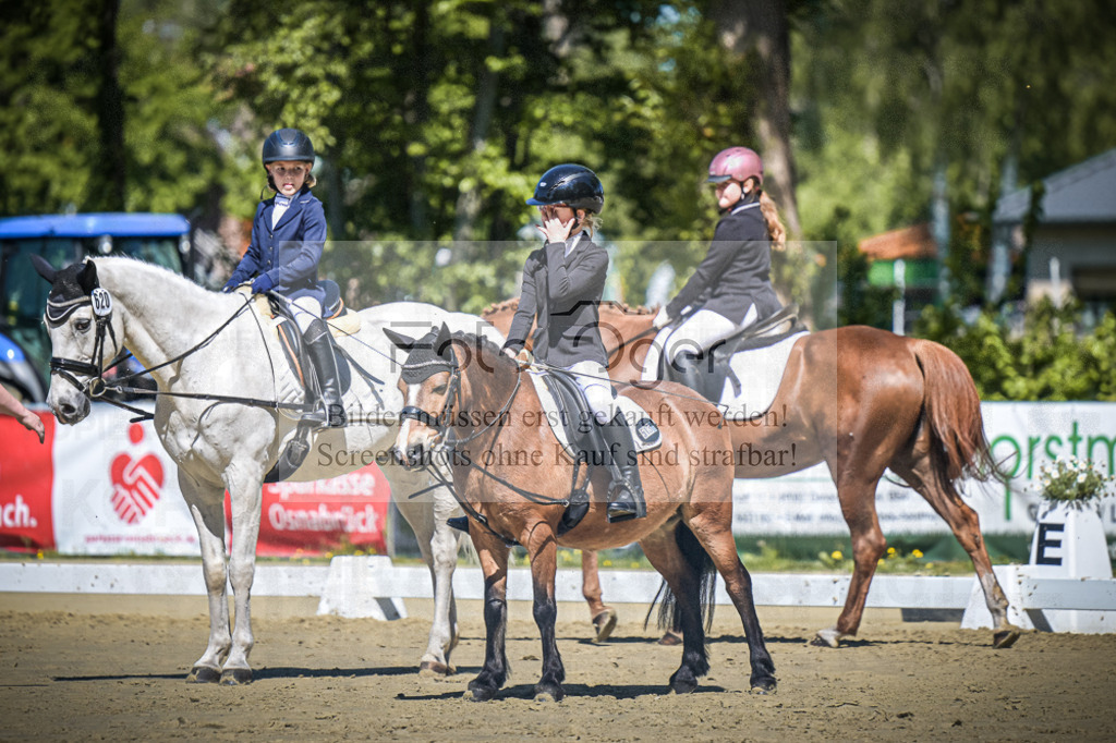 DOS_8619 | Entdecke hochwertige Reitturnierfotos von Foto Oger. Professionell, emotional und authentisch – jetzt Lieblingsmomente im Shop bestellen.Deutschlandweite Turnierfotografie. - Realisiert mit Pictrs.com