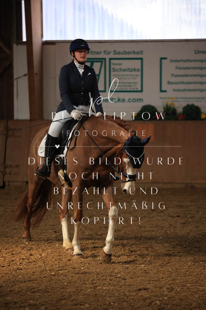 IMGT7954 | pl-fotografie