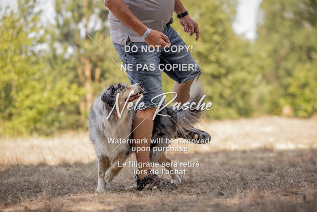nelerasche_soDD2_84 | nelerasche
