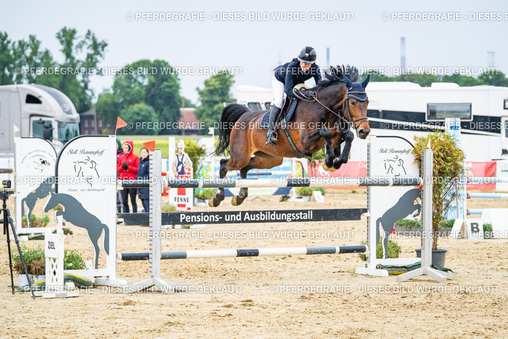 DSC07342 | Pferdegrafie