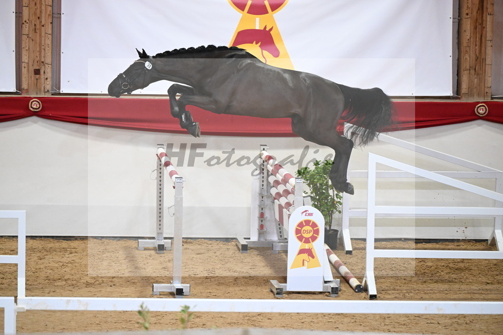 Kat.-Nr. 32 v. Monator vd Radstake_Schep_2251219 | hf-fotografie - Realizzato con Pictrs.com