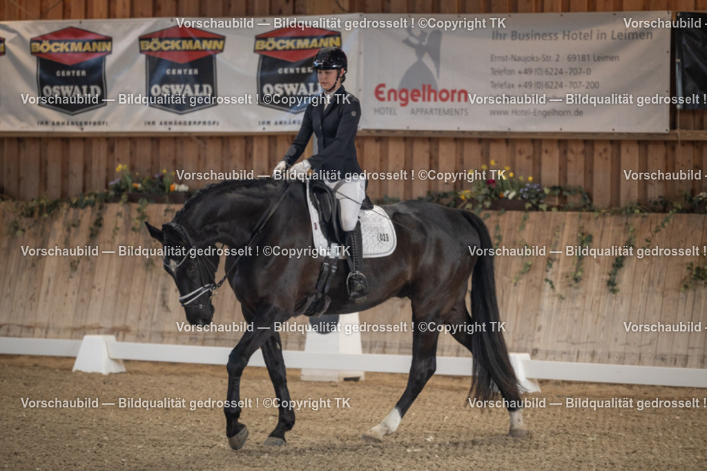 _D5A4337 | Emotionale Pferde- & People-Fotografie rund um Heidelberg, Leimen & Umgebung. Natürliche Fotos von Pferd, Mensch & Familie. Jetzt Termin sichern!