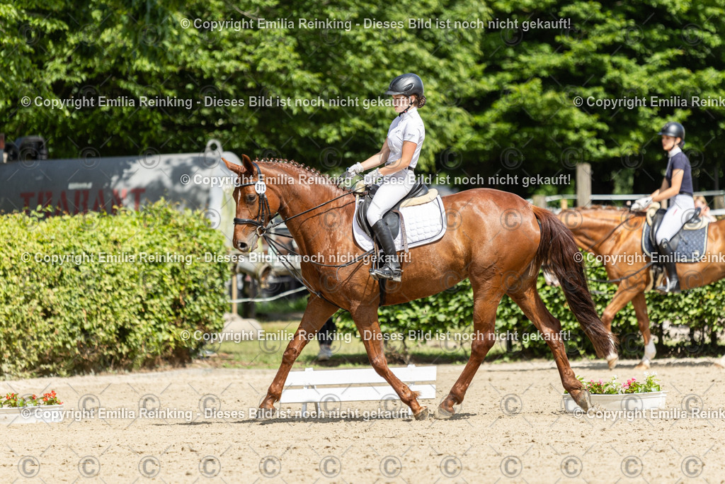 CL5A0663 | Emilia Reinking Fotografie - Realisiert mit Pictrs.com