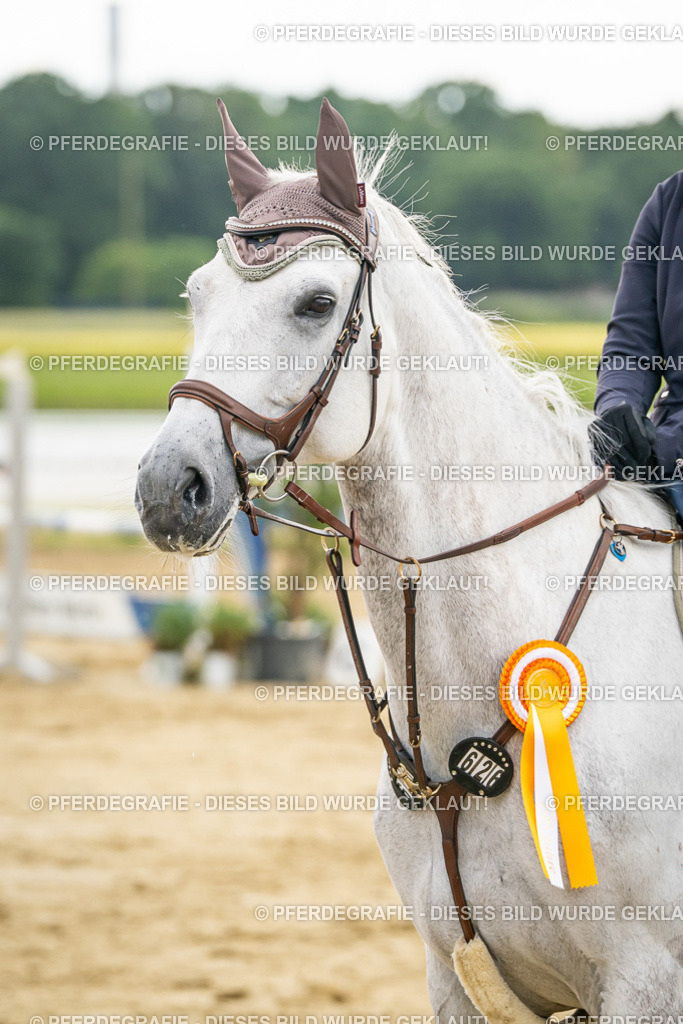 DSC07229 | Pferdegrafie