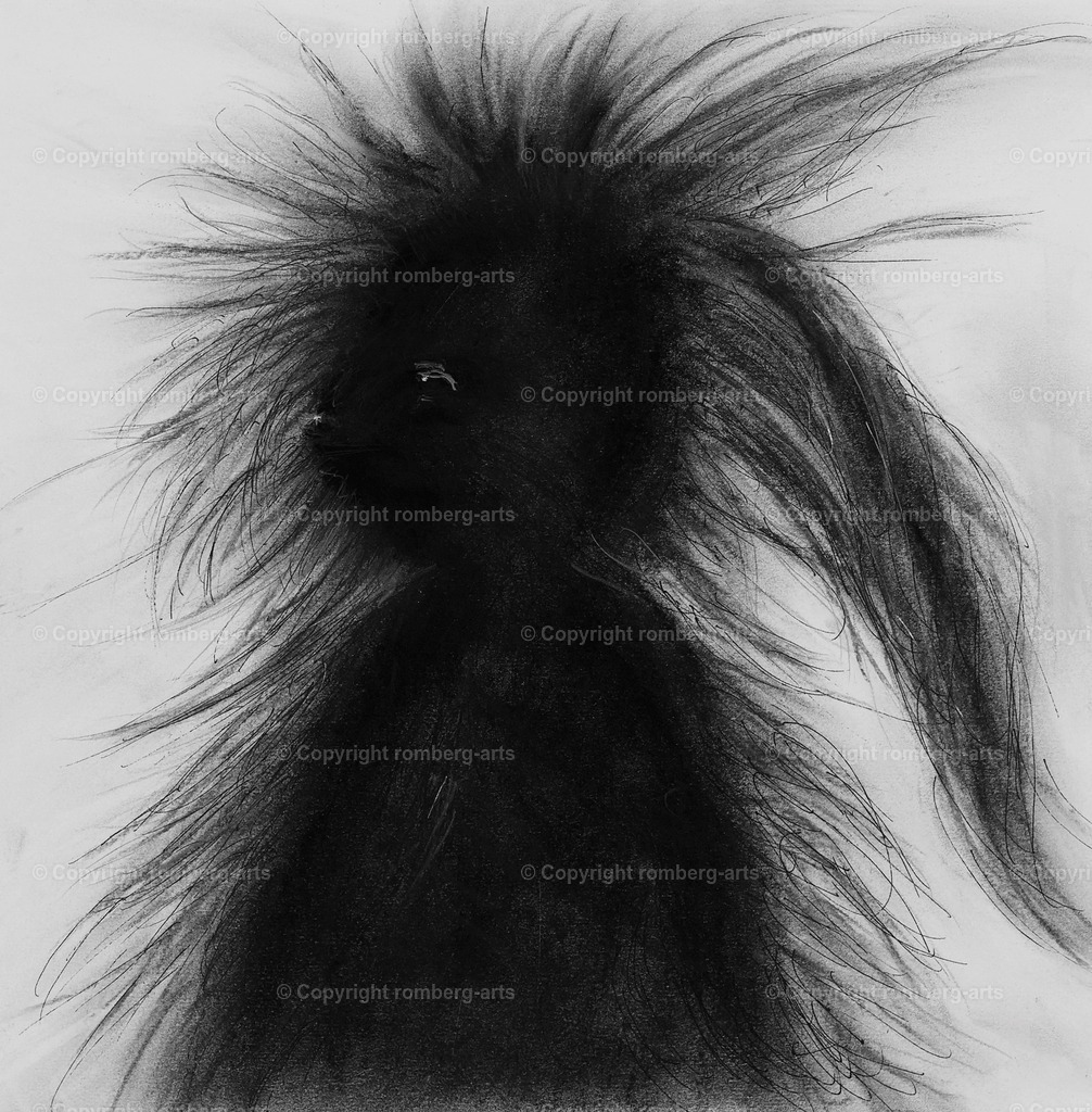 L1020018 (2) | romberg-arts, romberg-arts.de, www.romberg-arts.de, Foto_Online_Shop, Julia Fuhrmann, Köln, Fotos, Fotografie, Fotokunst, Kunstdrucke, Naturfotos, Aktfotos, Nacktfotos, schwarz_weiß_Fotos, Blumenfotos, Blumen, Tiere, Beton, Korrosion, Lächeln, Drucke