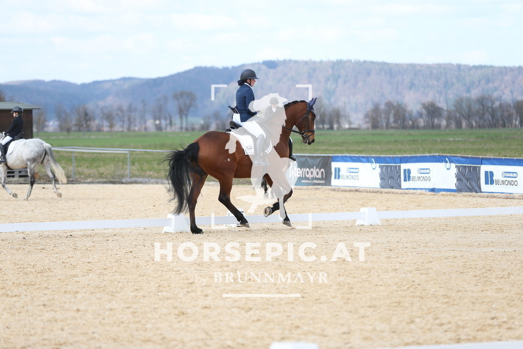 AS8V1582 | Willkommen bei Brunnmayr - Design & Fotografie – Ihrem Spezialisten für Reitturniere und Pferdeveranstaltungen in Oberösterreich, Salzburg und Bayern! Seit über 17 Jahren sind wir leidenschaftlich dabei.