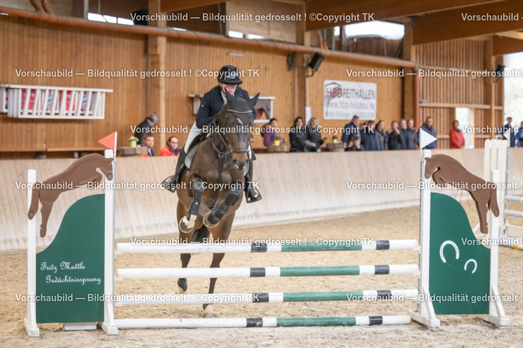 _D5A7040 | Emotionale Pferde- & People-Fotografie rund um Heidelberg, Leimen & Umgebung. Natürliche Fotos von Pferd, Mensch & Familie. Jetzt Termin sichern!