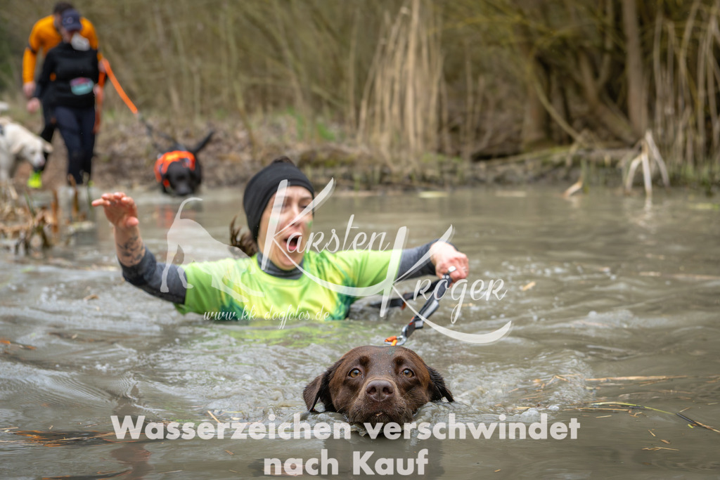 1355_ZZ94547 | kk-dogfotos