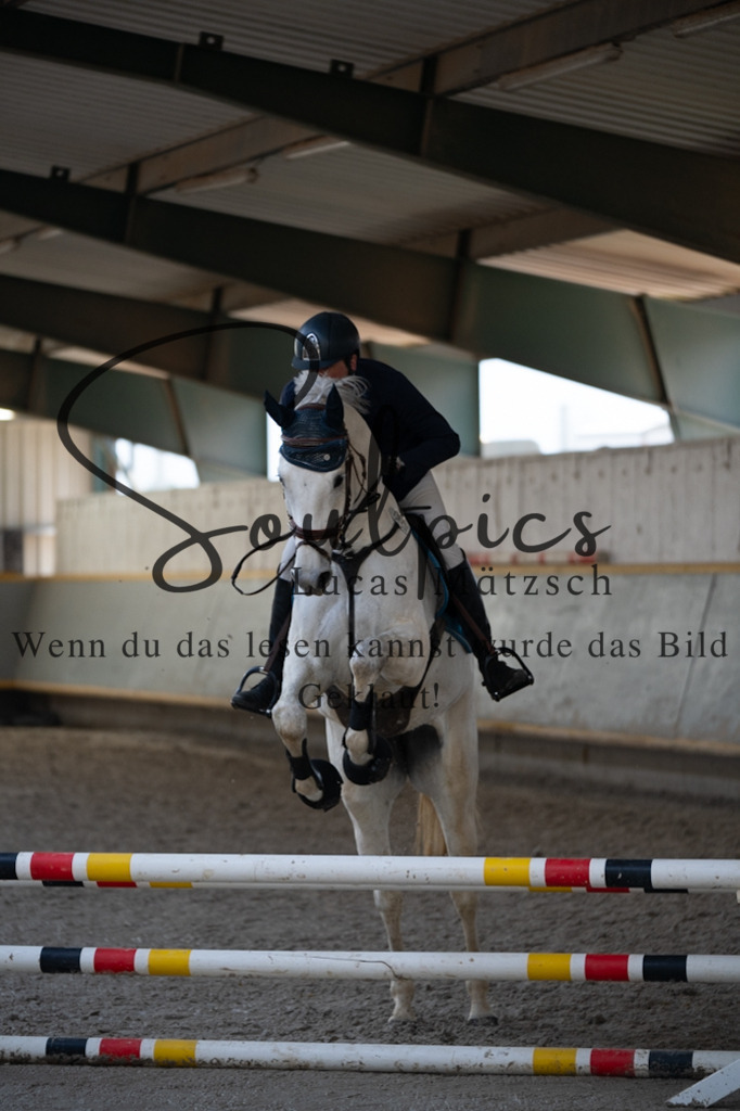 A7V07748 | Pferdefotograf