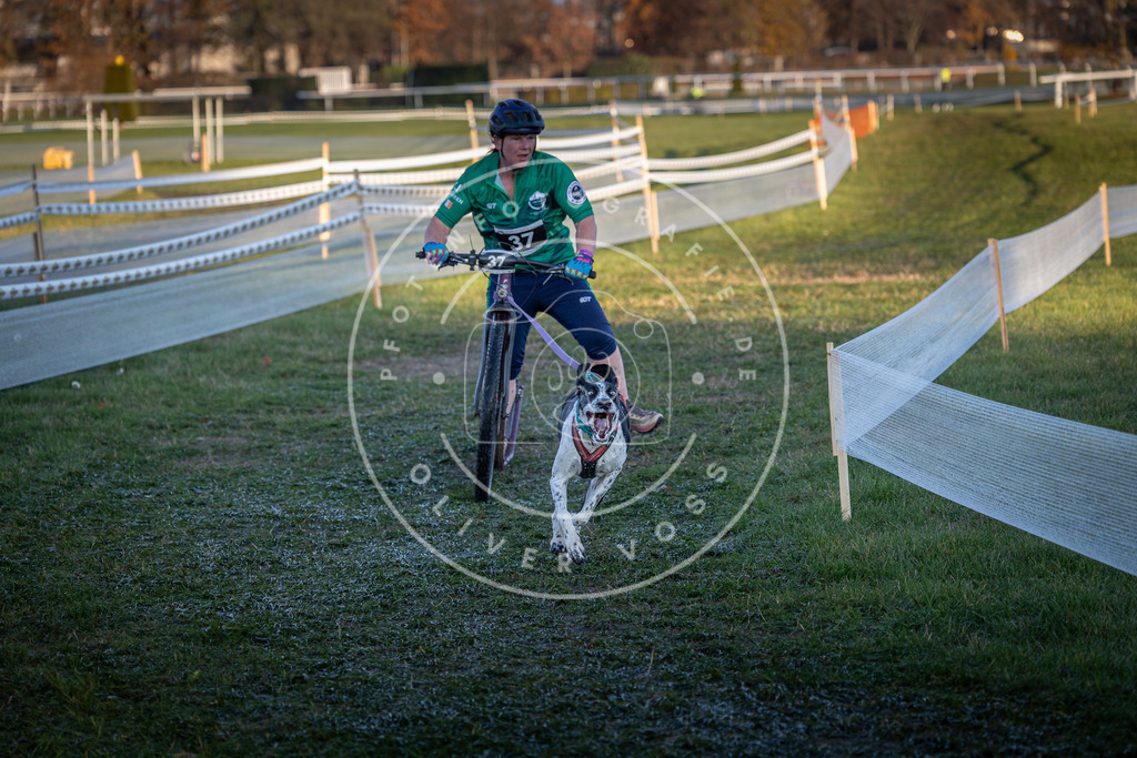 CaniXpix_0L8A2355 | Hundefotografie, Tierfotograf, Pfotenfotografie, Fotoshooting Hund, Hunde Portrait, Hundesport, Hundeportraits, Heideshooting, Hunde, Sportfotograf, Hundefotograf, Turnierhundsport, THS,  - Realisiert mit Pictrs.com