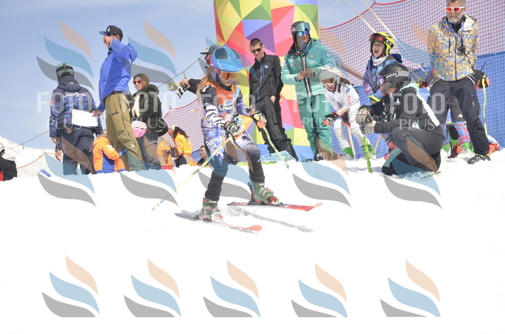 _ELE9403 | holidayphoto