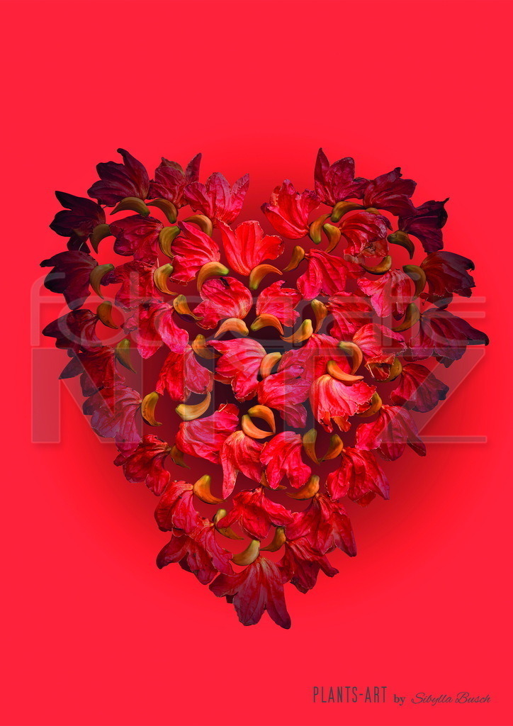 35 | Nitz Fotografie aus Montabaur bietet Ihnen hier die Möglichkeit Bilder auszusuchen und zu bestellen. 