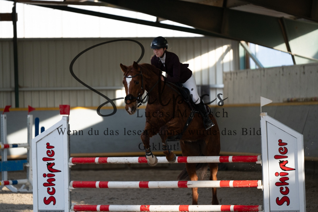 A7V07582 | Pferdefotograf