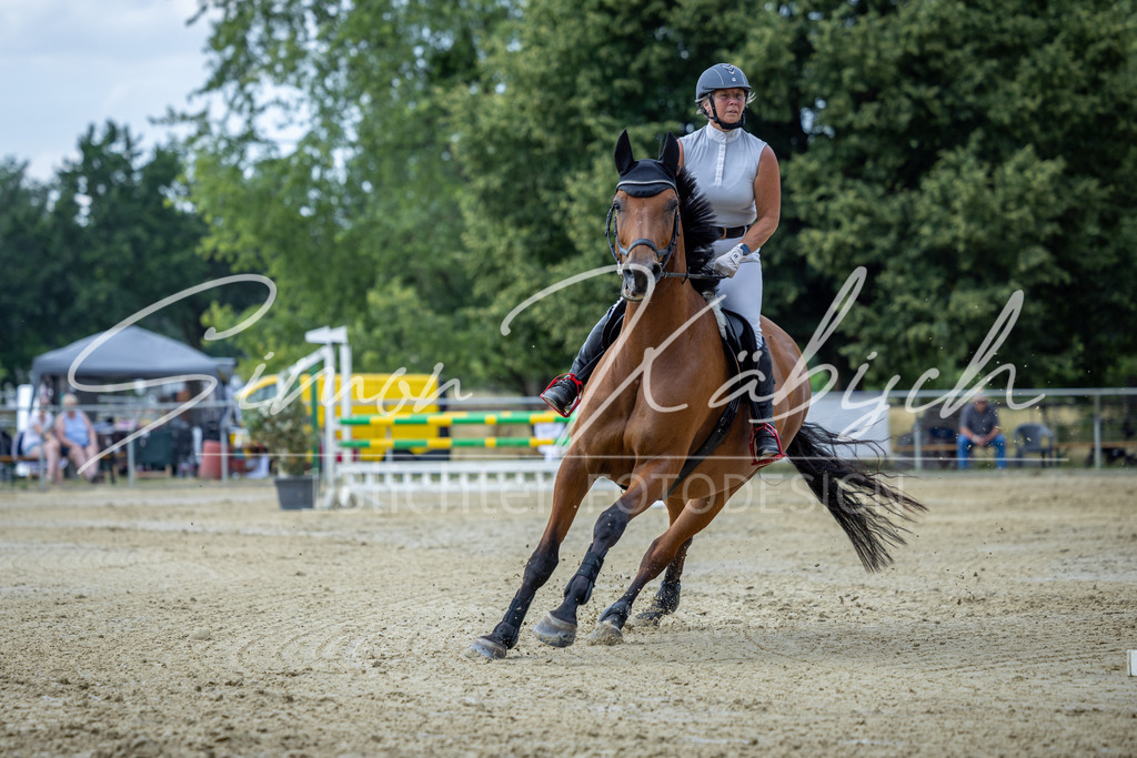 20260704-_3LI1369 | Tierfotografie Pferde, Hunde, Katzen, Haustiere.
Turnierfotografie Reitturniere, Reiten, Springreiten, Dressur in Hanau, dem Main-Kinzig-Kreis und dem Rhein-Main- Gebiet um Frankfurt