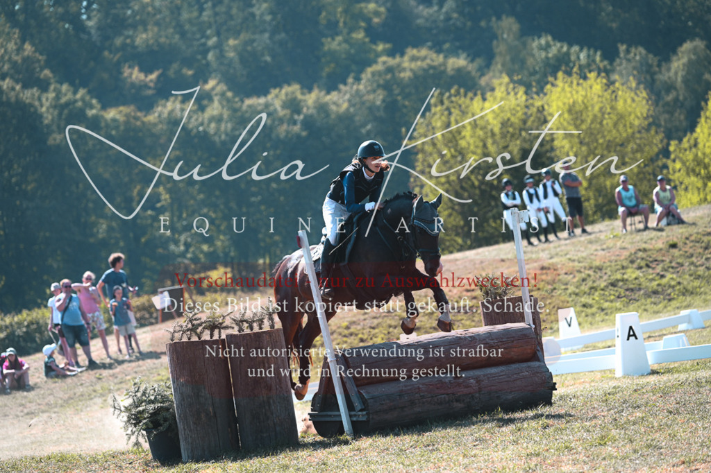 DSC_7942-2 | Pferde- und Turnierfotografie in Westsachsen. Pferdeportraits, Auftragszeichnungen und intuitive Kunst.