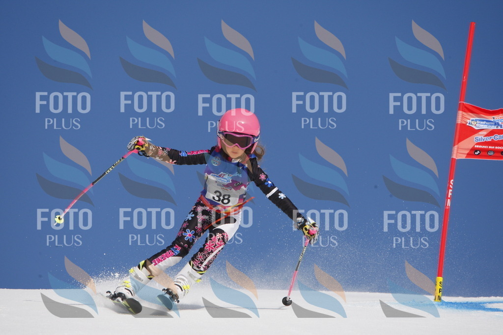 _W1G0528 | holidayphoto