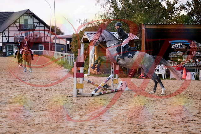 2026_10_03_Siefer-Hof_145129_Z81_30375114 | Professionelle Reitsport-, Turnier- und Eventfotografie von Robert Broda. Galerien mit ausgewählten und bearbeiteten Bildern direkt online ansehen und bestellen.