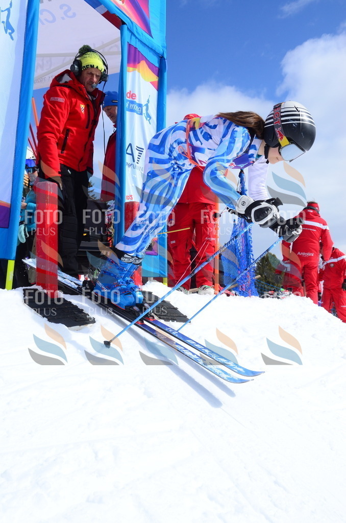 ALE_0210 | holidayphoto