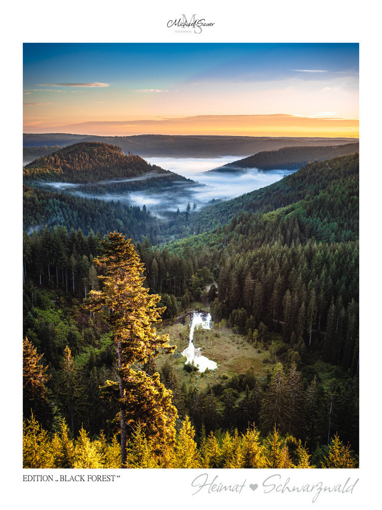 Edition "BLACK FOREST" | Motiv: Blick auf den Ellbachsee im Nordschwarzwald. Die beliebtesten Fotografien aus dem Schwarzwald als signierte Sonderedition. Eine exklusive Wanddekoration für alle Liebhaber von traumhaften Schwarzwaldlandschaften. Hochwertige Wandbilder in brillanter Druckqualität auf Acrylglas, Alu-Dibond und Leinwand für Ihr Zuhause – inklusive rückseitige Aufhängung.
 - Realisiert mit Pictrs.com