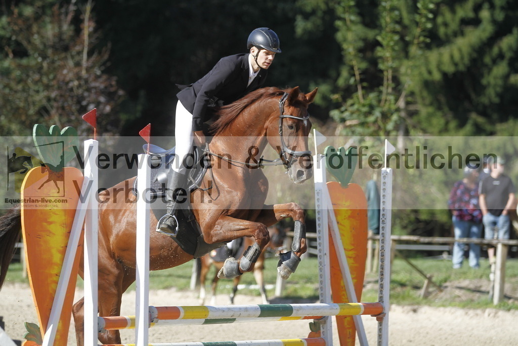 _MG_4223 | equestrian-live-com
